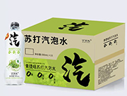 青提味苏打气泡水500ml*15